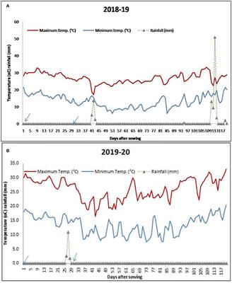 The Response of Lentil (Lens culinaris Medik.) to Soil Moisture and Heat Stress Under Different Dates of Sowing and Foliar Application of Micronutrients